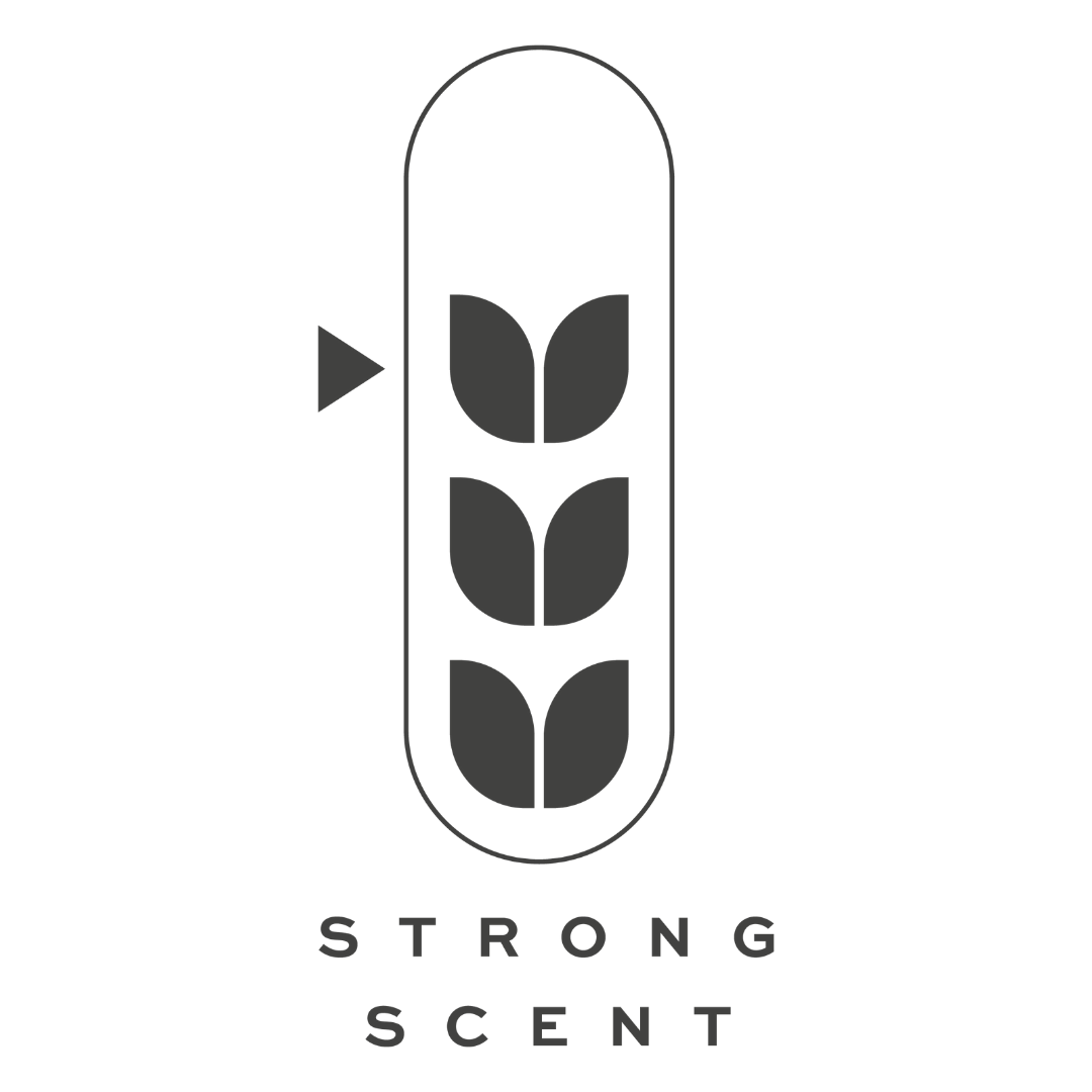 Christmas Splendor Soy Candle