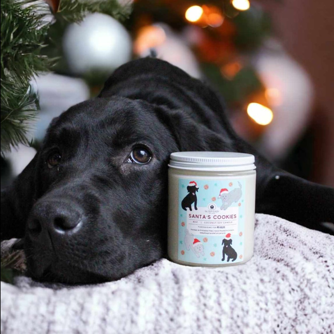 Humane Society Of Durham Region Fundraiser Candle, A puppy lies beside the candle on a soft blanket. 