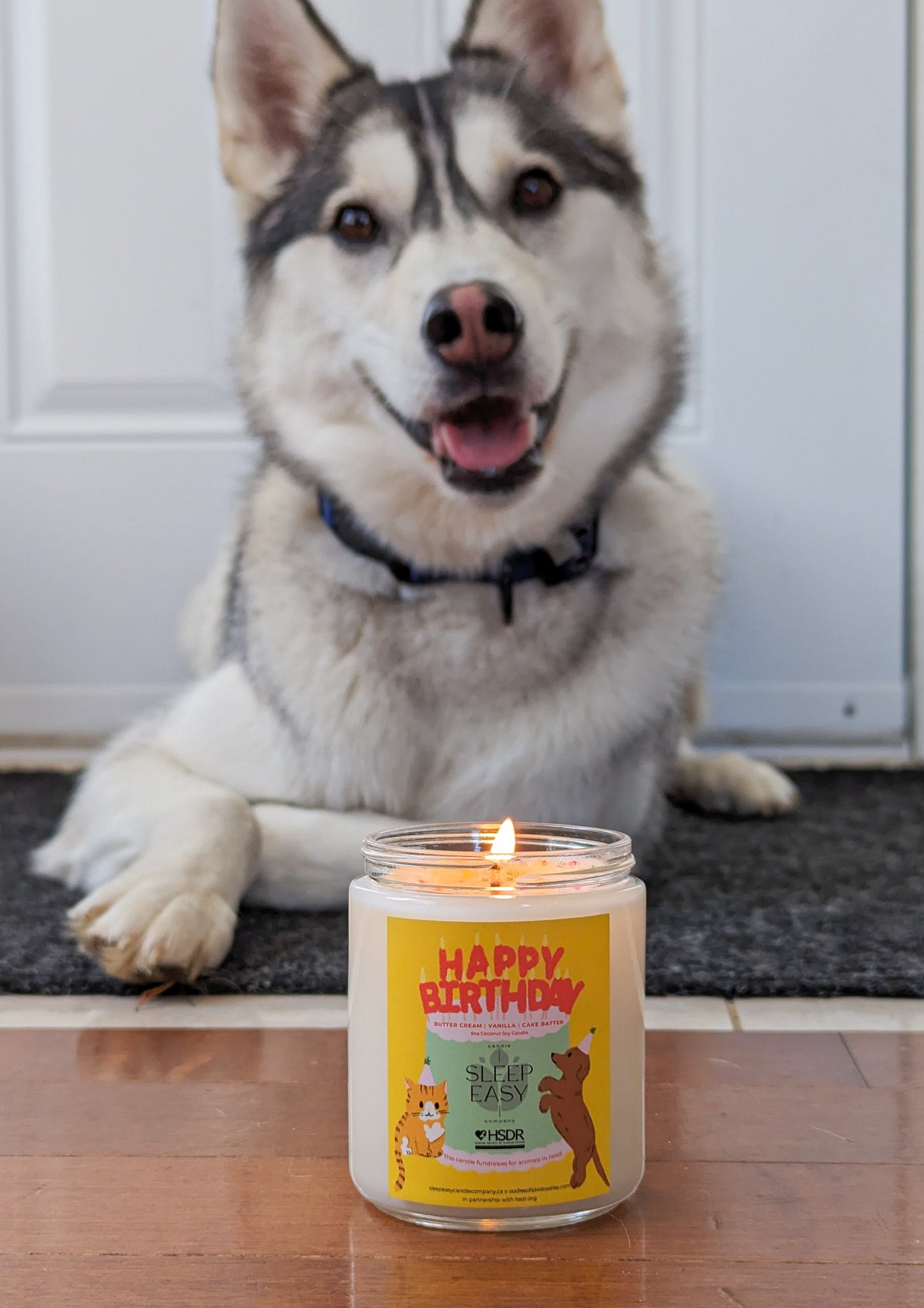 Happy Birthday Candle - Fundraiser for Ontario SPCA + Humane Society - Coconut Soy Candle